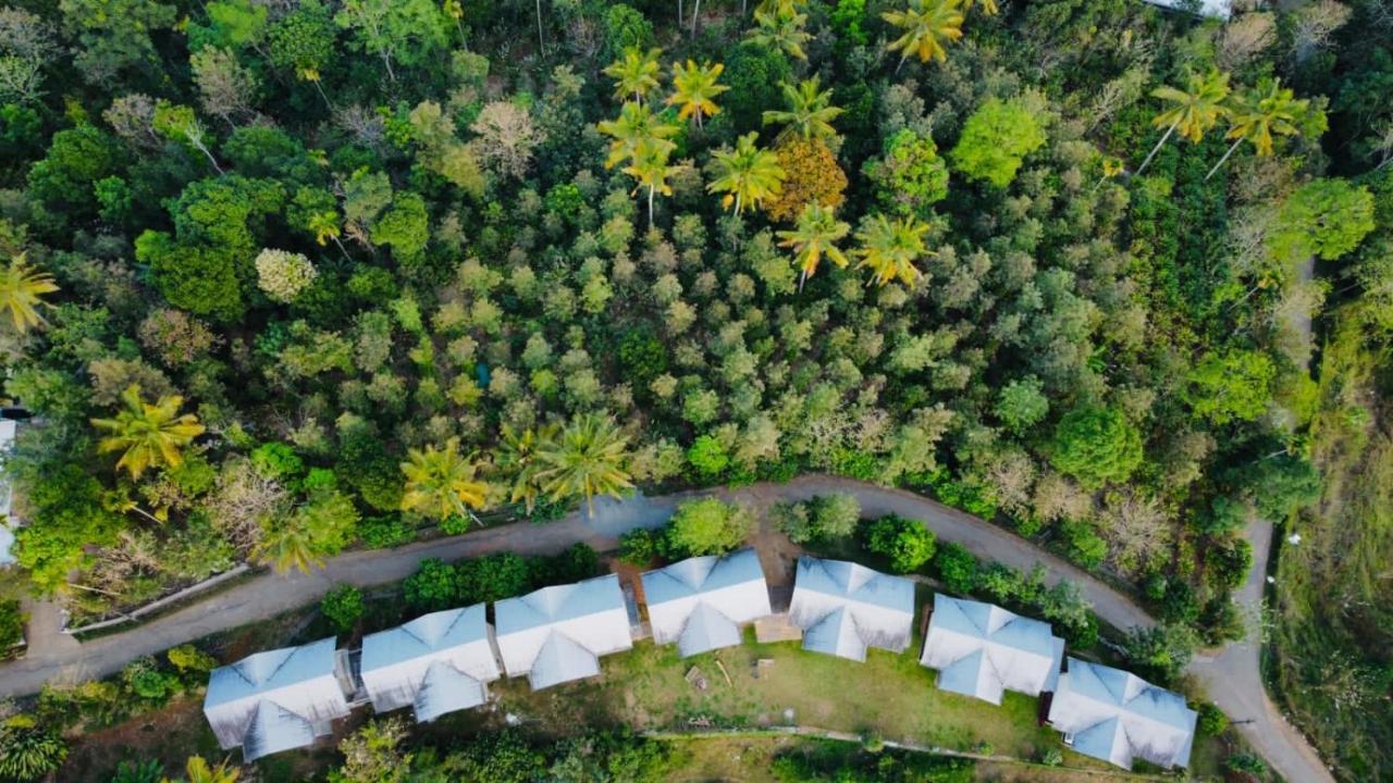 Mannoor Farms Mountain View Stays, Munnar Extérieur photo